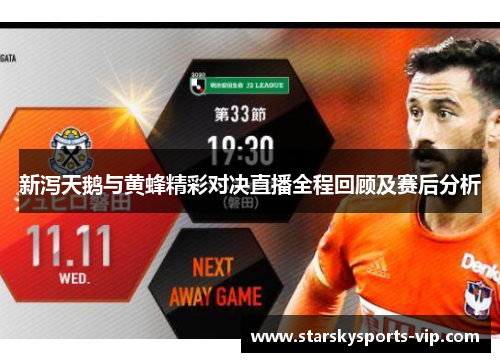 新泻天鹅与黄蜂精彩对决直播全程回顾及赛后分析